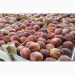 Продам плоды персика с собственного сада