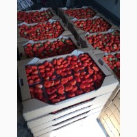 Продам ягоду клубники