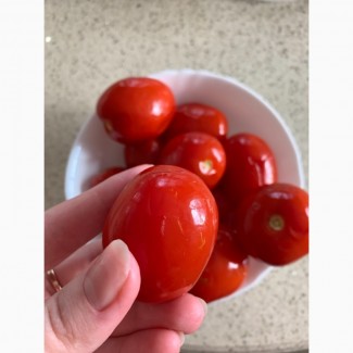 Продам квашені помідори
