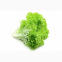 Салат зелений