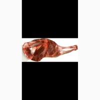 Мясо оленя м#039;ясо оленя