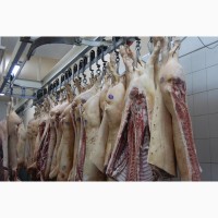 Продам свиниу и говядину охлажденую от производителя с 20 тонн