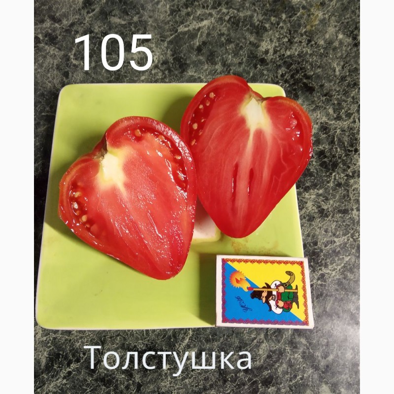 Фото 12. Продам коллекционные семена экзо томатов