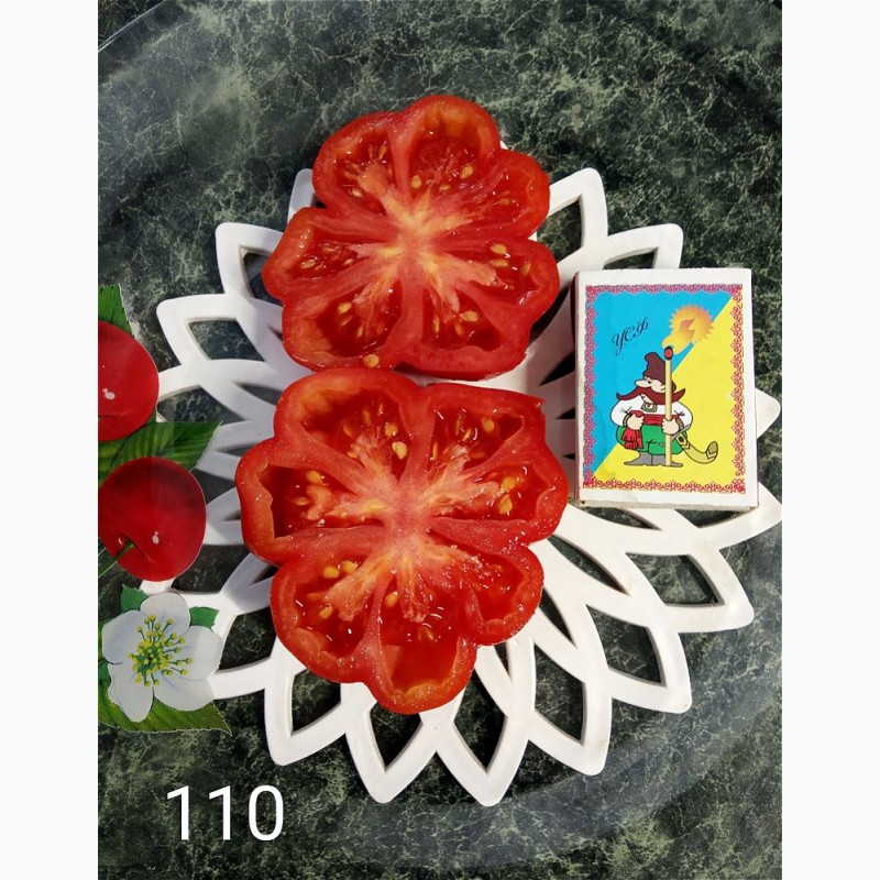 Фото 15. Продам коллекционные семена экзо томатов