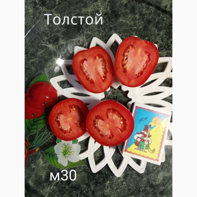 Фото 16. Продам коллекционные семена экзо томатов