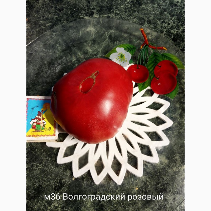 Фото 17. Продам коллекционные семена экзо томатов