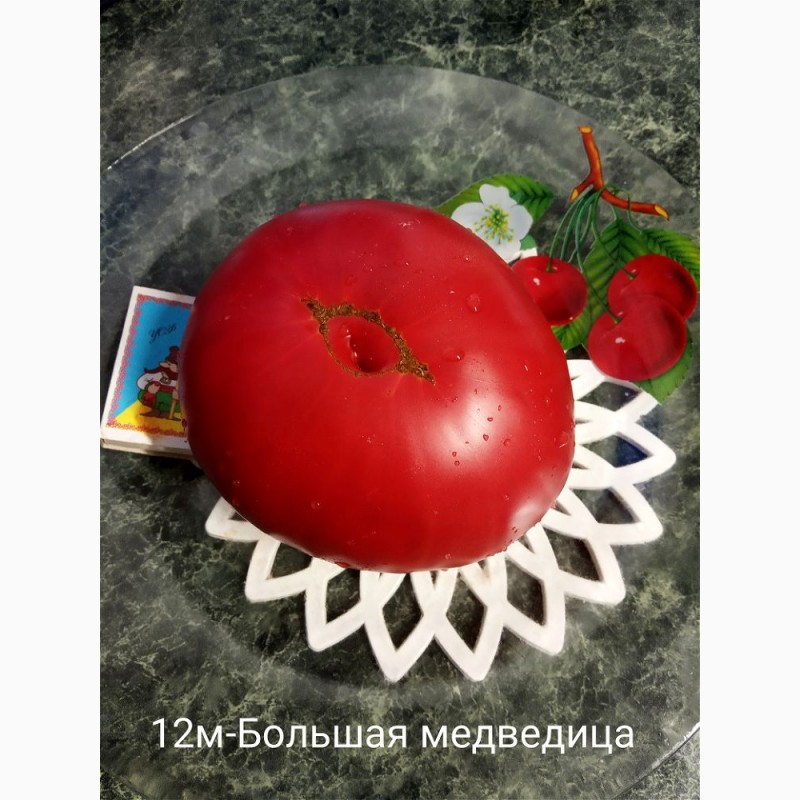 Фото 6. Продам коллекционные семена экзо томатов