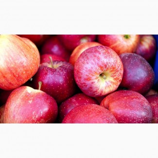 Купимо яблука у великих об#039;ємах