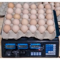 Продам яйцо куриное в асортименте, ОПТ