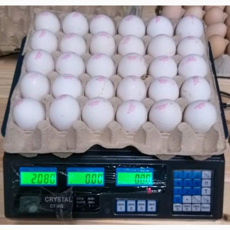 Фото 12. Продам яйцо куриное в асортименте, ОПТ