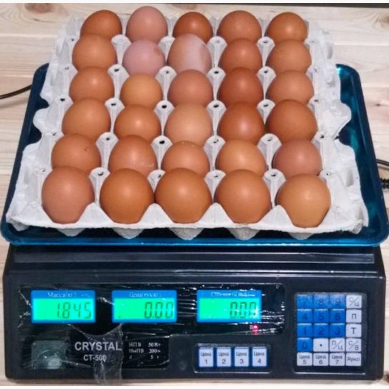 Фото 7. Продам яйцо куриное в асортименте, ОПТ