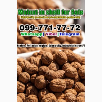 Walnut in shell for Sale, Pre-order available, Low prices