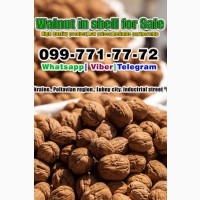 Walnut in shell for Sale, Pre-order available, Low prices