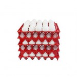 Пластиковый лоток для куриных яиц на 30 шт