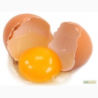Домашні яйця