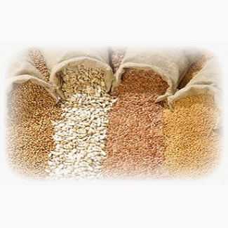 Зерновые и масличные культуры (ПРОДАЖА)