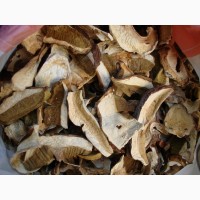 Куплю білі гриби сухі белые грибы сухие
