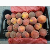Продам персики