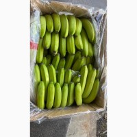 Продам банани ОПТ Эквадор, ЕС Україна