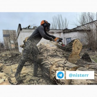 Професійне видалення дерев будь-якої складності та обсягу