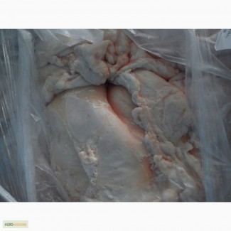 Продам жир сырец свиной со склада г Киев