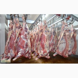 Мы предлагаем Вам широкий выбор мясной продукции, мясо в полу тушках.