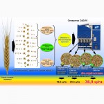 Купить Зерноочистительный сепаратор САД-100 с циклоном