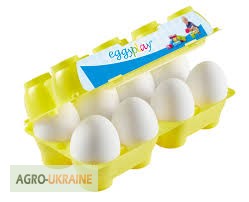 Фото 12. Лотки для яиц