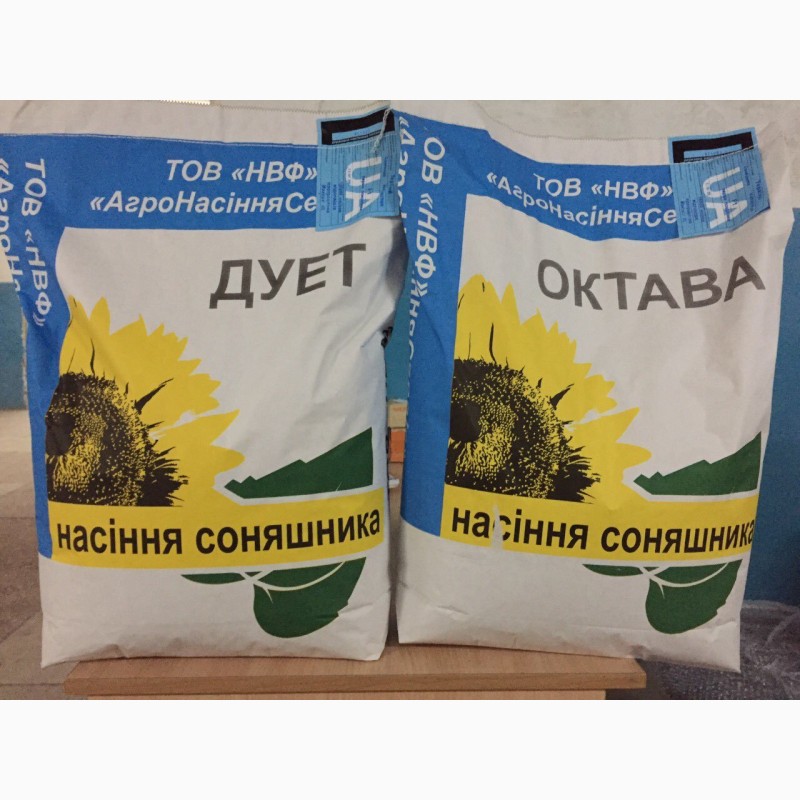Фото 2. Высокоурожайные семена подсолнуха Октава и Дуэт - Агросемсервис ЮГ Украина