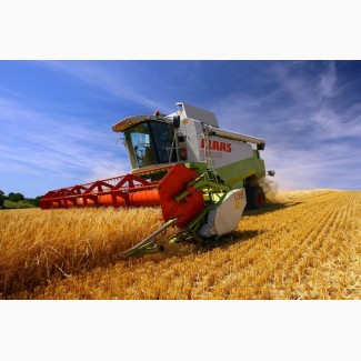 Услуги по уборке урожая уборка зерновых сои кукурузы подсолнечника рапса по Украине
