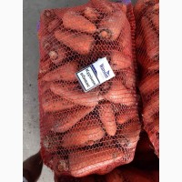 Продам морковь крупными обьёмами.оптовая цена 4 грн кг от 20-ти тонн