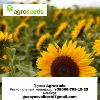 Продам гибриды подсолнечника от производителя. Компания Агротрейд / Agroseeds