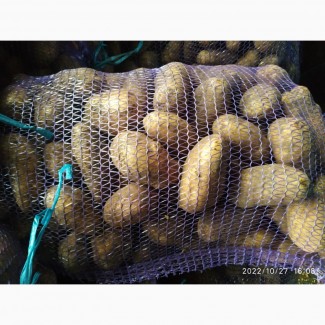 Продам картоплю Гренада 20 т