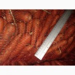 Продам морковь урожай 2021г товарную сорт Лагуна, Абака, Марелия