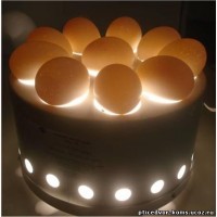 Продается ОВОСКОП для куриных яиц