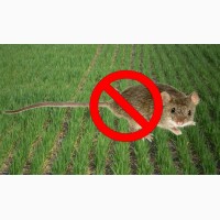 Продам препарат против мышей зерновой ДЕРАТЕЗ - готовая отрава для мышей