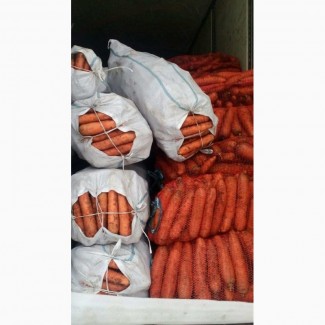 Продам моркву різних сортів