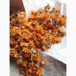 Продам сушені квіти нагідок/календули