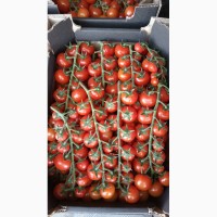 Продам помидоры черри от производителя