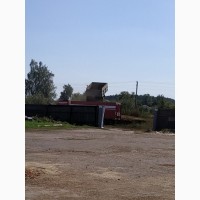 Куплю зерно гречки по всій Україні