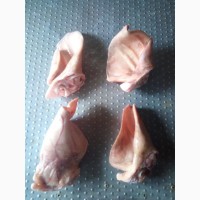 Продам субпродукты свиные(уши, ножки, головы)