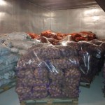 Продам тверду картоплю розара зберігання +2- +5, м. складі урожай 2019 р
