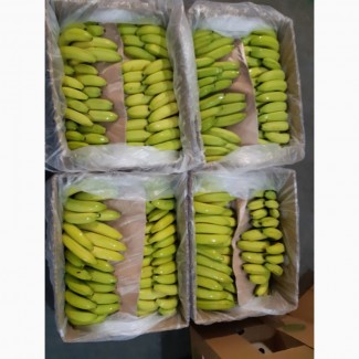 Продам банани, Львiвська область