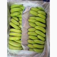 Продам банани, Львiвська область