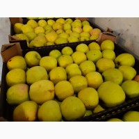 Продаж яблук Айдаред та фуджі