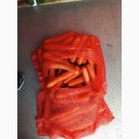 Продам Морковь Голандия Качество Отличное Цена договорная