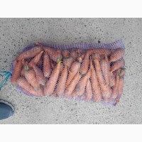 Продам морковь качественную сорт Абако
