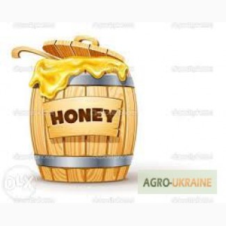 ТОВ МЕДОВЫЙ СТАНДАРТ закуповує мед