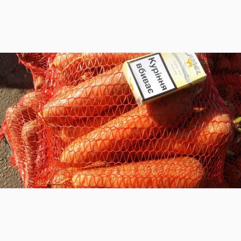 Фото 3. Продаємо моркову, цибулю, капусту, буряк, картоплю з доставкою від 1 тони