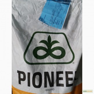 Продам гібрид кукурузи PR39G83